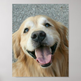 Poster voor het glimlachen van Golden Retriever