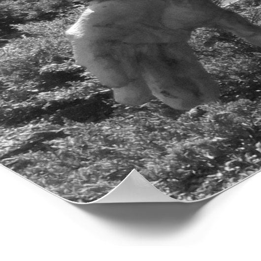 Poster voor het herdenkingsverdrag van Korea (Hoek)