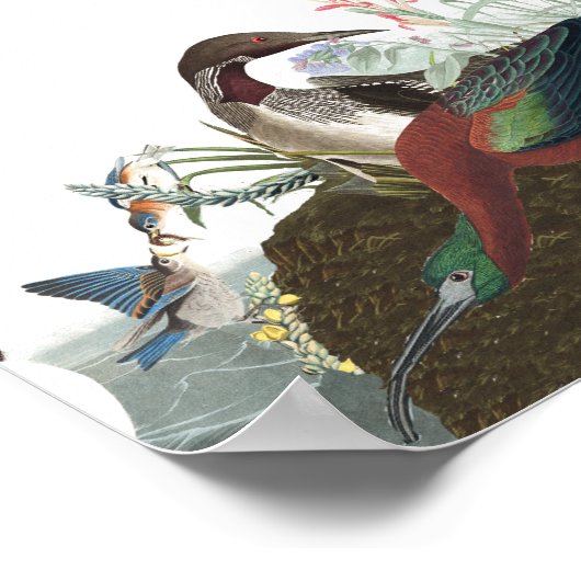 Poster voor het in het wild levende dier- en plant (Hoek)