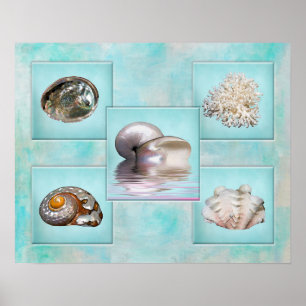 Poster voor het kuilen van zeehonden - Aqua Backgr