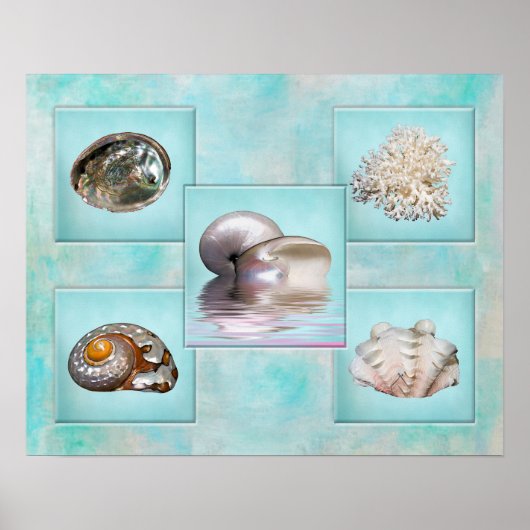Poster voor het kuilen van zeehonden - Aqua Backgr (Voorkant)