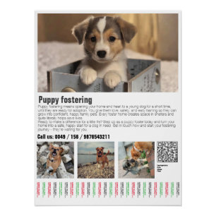 Poster voor het opvangen van puppy's 