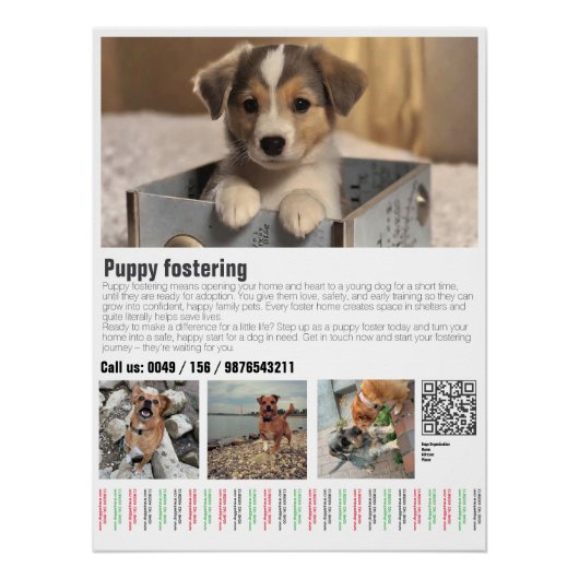 Poster voor het opvangen van puppy's (Voorkant)