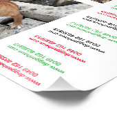 Poster voor het opvangen van puppy's (Hoek)
