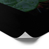 Poster voor het Roos van de vrede (Hoek)