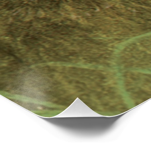 Poster voor het schilderen van konijnenwild (Hoek)