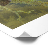 Poster voor het schilderen van Relieve zonnevis (Hoek)