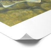 Poster voor het schilderen van smeedbaar garen (Hoek)