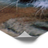 Poster voor het schoonmaken van de Bengalige tijge (Hoek)