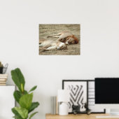 Poster voor het slapengaan van leeuwen en leeuwen (Thuiskantoor)