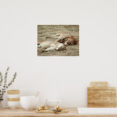 Poster voor het slapengaan van leeuwen en leeuwen (Keuken)