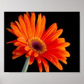 Poster voor het sluiten van ventilator (Voorkant)