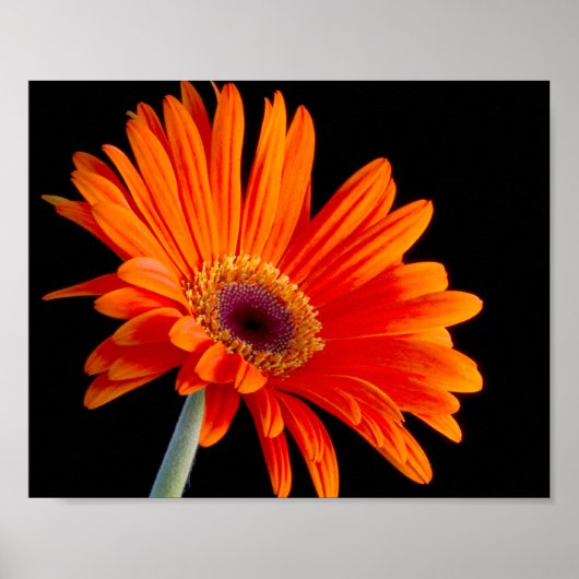 Poster voor het sluiten van ventilator (Voorkant)