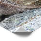 Poster VOOR HET SNAPPEN VAN KORTSTOF (Hoek)