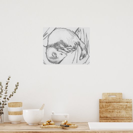 poster voor het trekken van fretten met "strepe" (Keuken)