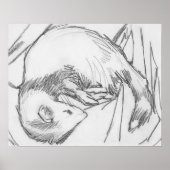 poster voor het trekken van fretten met "strepe" (Voorkant)