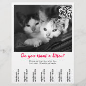 Poster voor het verkopen van kittens flyer (Voorkant)
