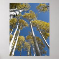 Poster voor het verlagen van de bloeddruk (5)