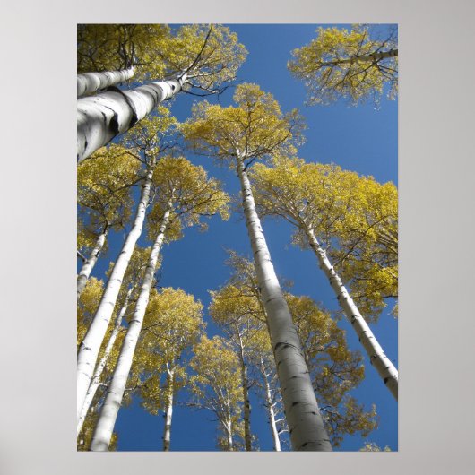 Poster voor het verlagen van de bloeddruk (5) (Voorkant)