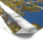 Poster voor het verlagen van de bloeddruk (5) (Hoek)