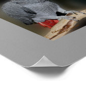 Poster voor het zoenen van parrots Cute Wedding Gi (Hoek)