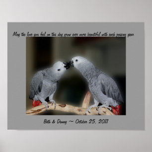Poster voor het zoenen van parrots Cute Wedding Gi