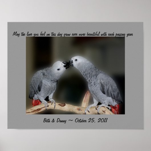 Poster voor het zoenen van parrots Cute Wedding Gi (Voorkant)