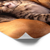 Poster voor honden en katten (Hoek)