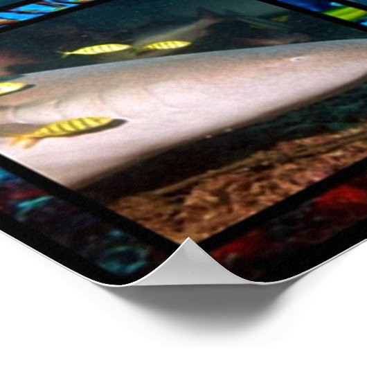 Poster voor inkuilscènes voor haaien (Hoek)