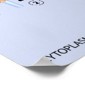 Poster voor insuline- en glucoseopname (Hoek)