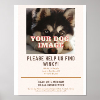 poster voor je ontbrekende hond