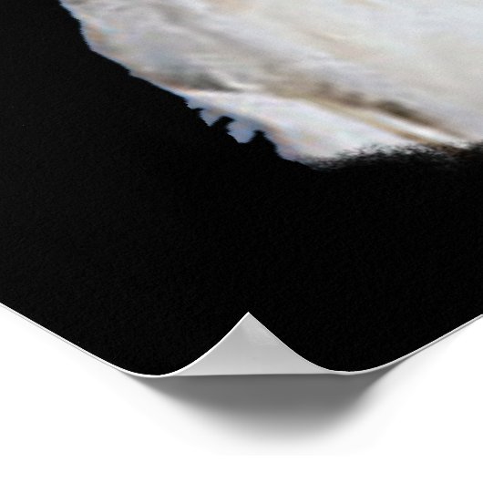 Poster voor katoenproductie 24x36 inch (Hoek)