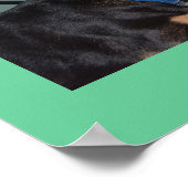 poster voor katten- en hondenvriendschap (Hoek)