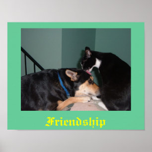 poster voor katten- en hondenvriendschap