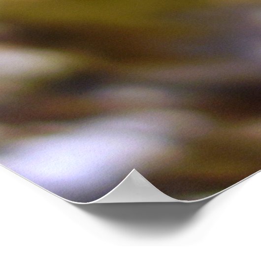 Poster voor kleine vlinder (Hoek)