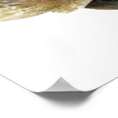 Poster voor kunstfoto's in Seashells Fine Art (Hoek)