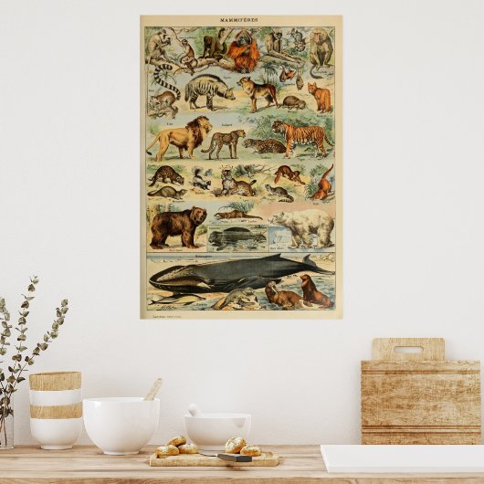  Poster voor kunstmuurkunst (Keuken)