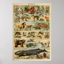 Poster voor kunstmuurkunst