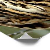 Poster voor langoustine (Hoek)