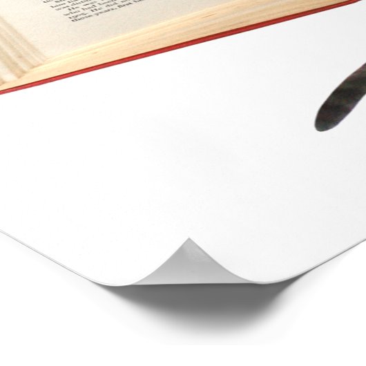 Poster voor leesboek katten (Hoek)