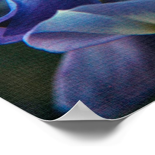 Poster voor lenteschepingen (Hoek)