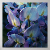 Poster voor lenteschepingen (Voorkant)