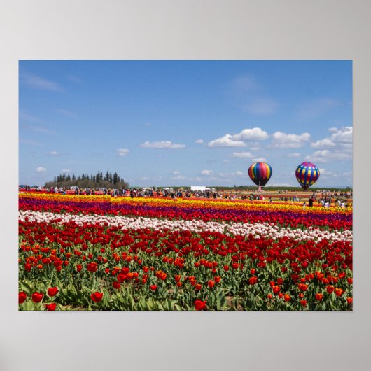 Poster voor lentetelers (Matte) (Voorkant)