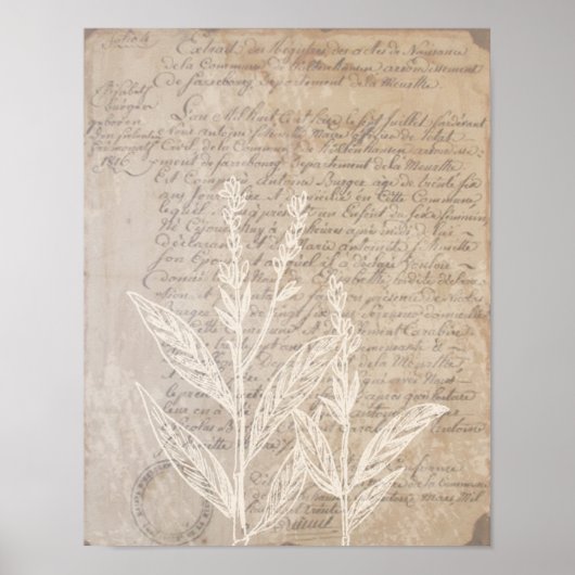 Poster voor Letter en Botanische Afdruk (Voorkant)