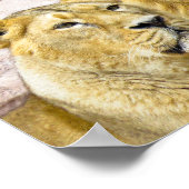 poster voor mannelijke en vrouw-LION FOTOGRAFIE (Hoek)