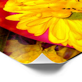 Poster voor meerkleurige Daisy Flower Mix (Hoek)