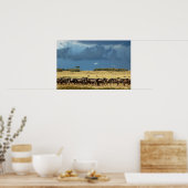 Poster voor migratie van blauwe wildebeest (gnu),  (Keuken)