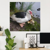 Poster voor moerbarmelijke eenden en deklings (Thuiskantoor)