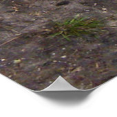 Poster voor moerbarmelijke eenden en deklings (Hoek)