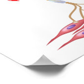 Poster voor motorneuron-anatomie (Hoek)